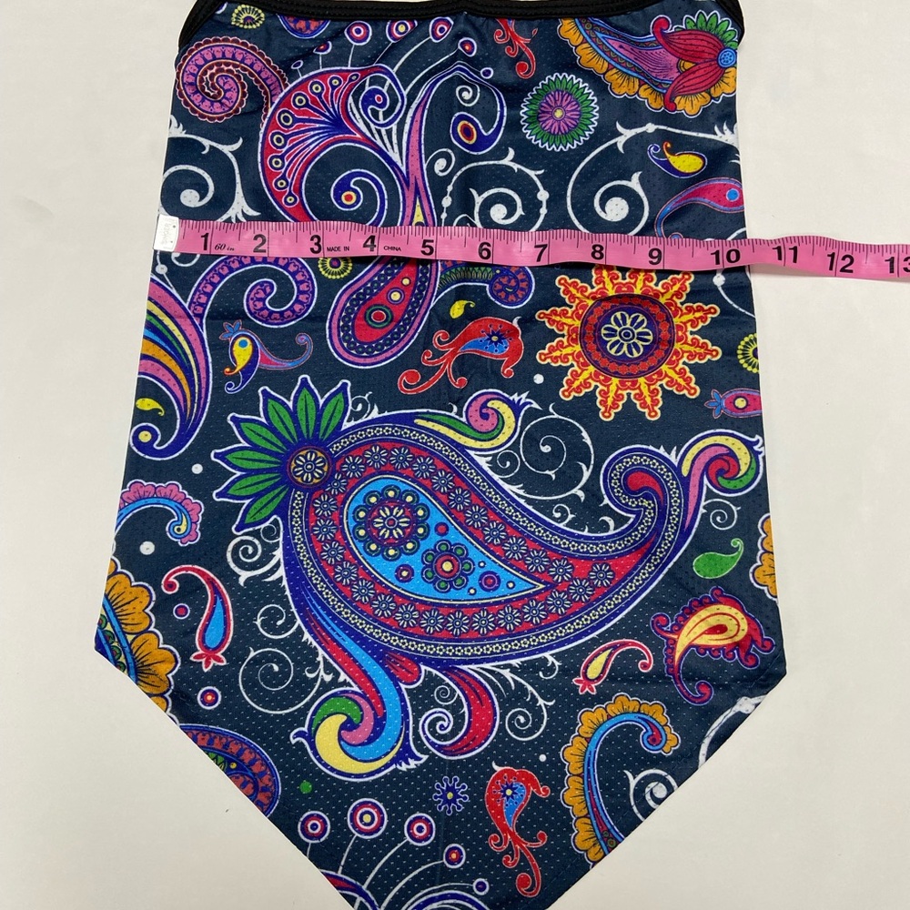 Colorful Paisley Mask - Picture 2 of 11